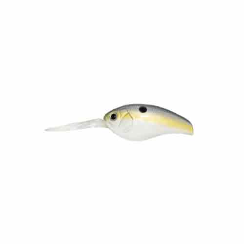 Sexy Shad